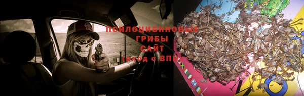 крисы Арсеньев