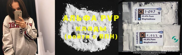 хмурый Аркадак