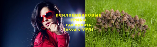 прущая мука Армянск