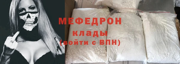 хмурый Аркадак