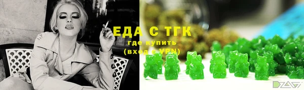 хмурый Аркадак