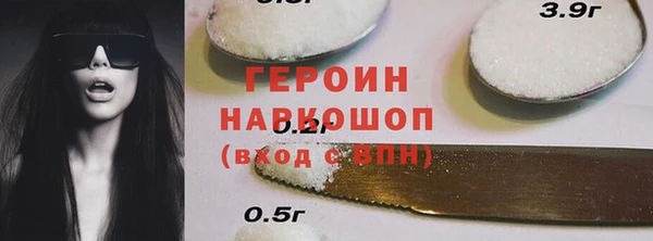 хмурый Аркадак