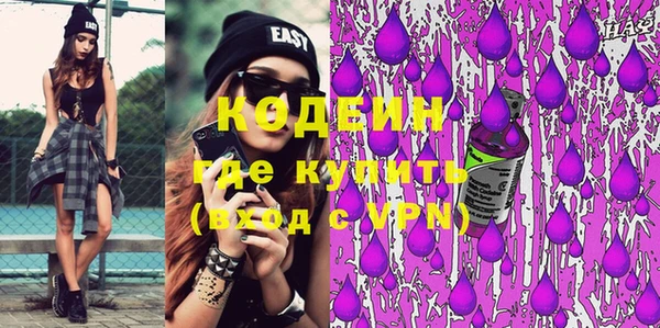 хмурый Аркадак
