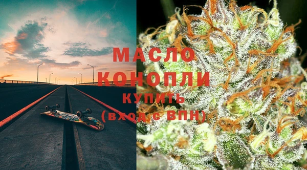 хмурый Аркадак