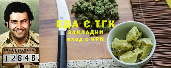 хмурый Аркадак